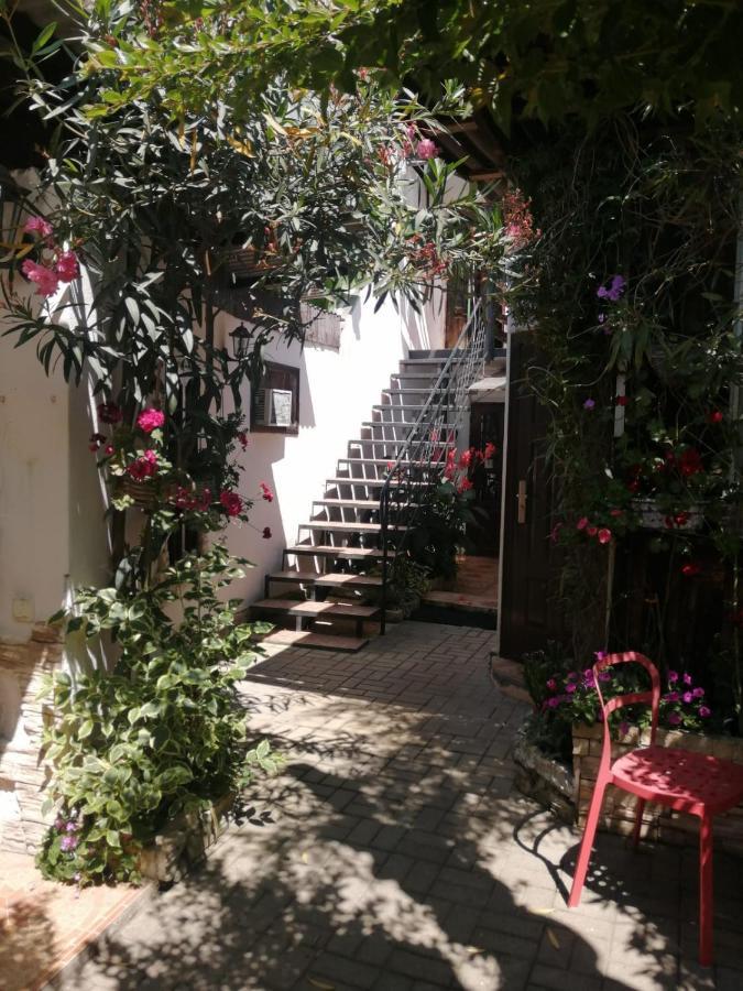 Hotel Magnoliia Sochumi Exterior foto
